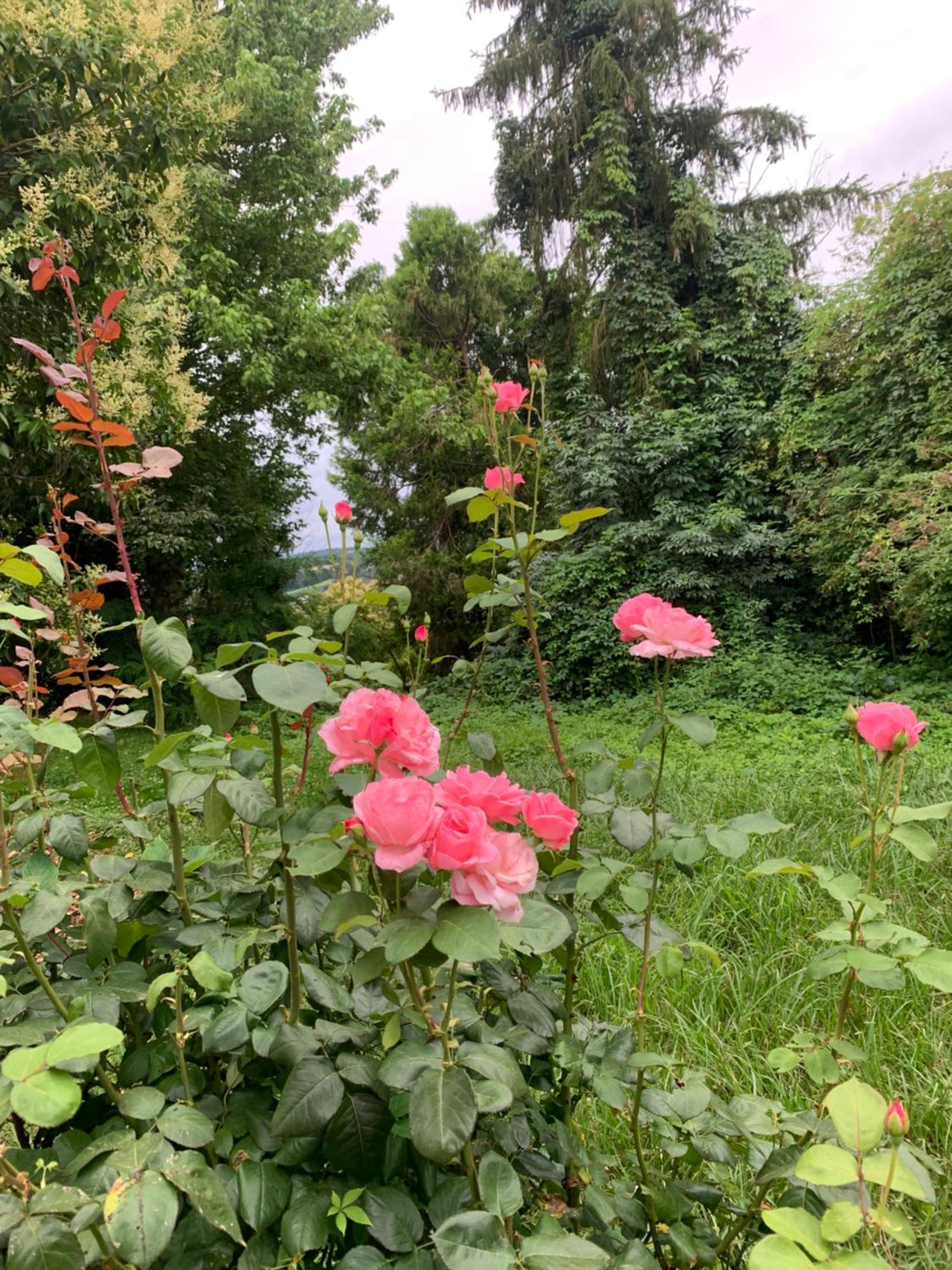 Bed and Breakfast La Poesie Lagor Экстерьер фото