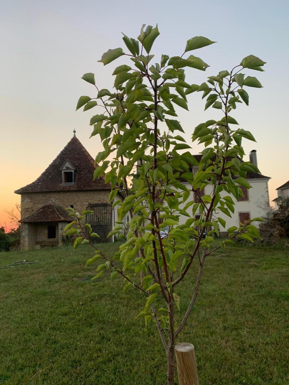 Bed and Breakfast La Poesie Lagor Экстерьер фото